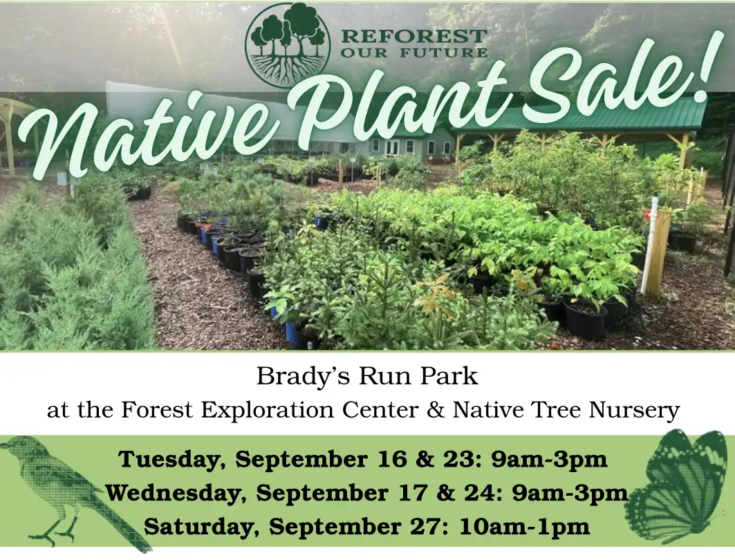 Native Plant Sale