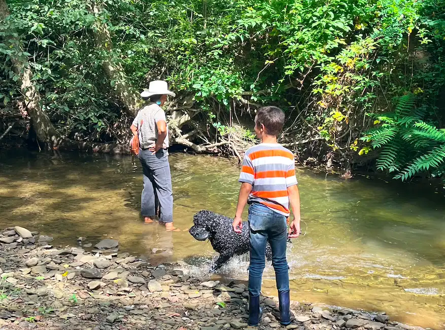 Two people and dog by river in forest