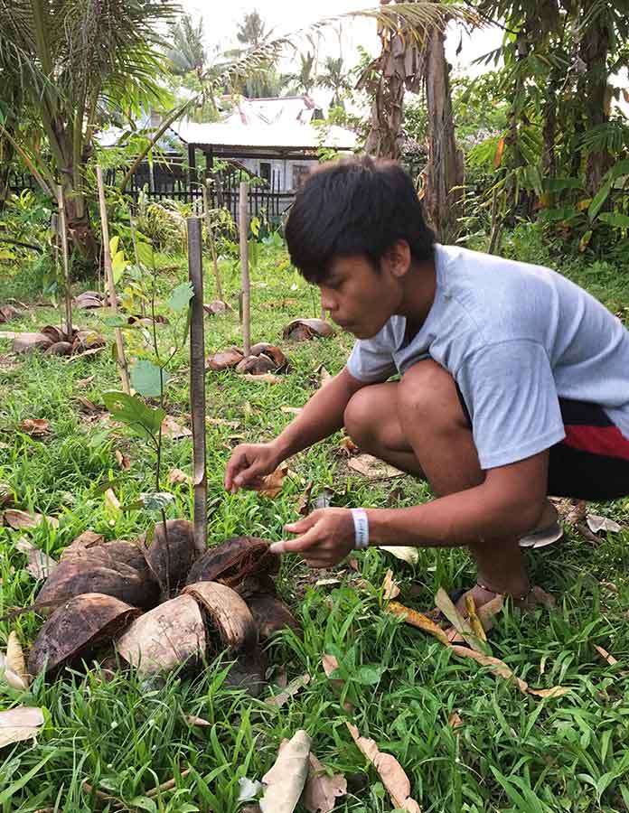 Philippine Man planting