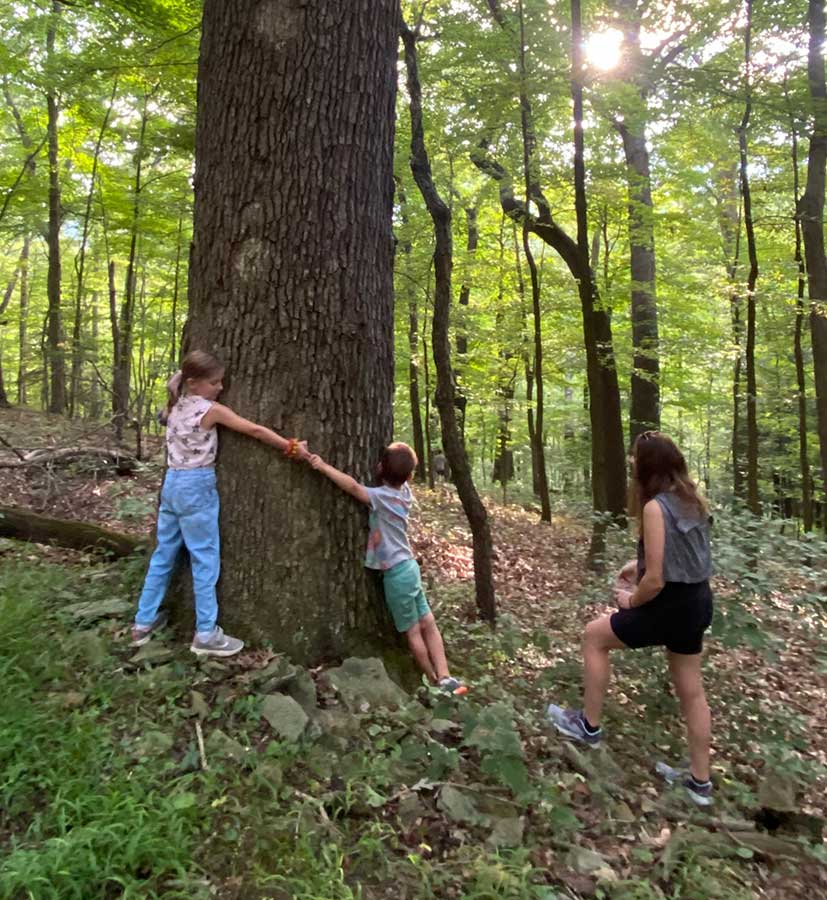 Children hugging a tree