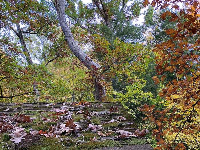 earth-day-planting-2022 New Paths