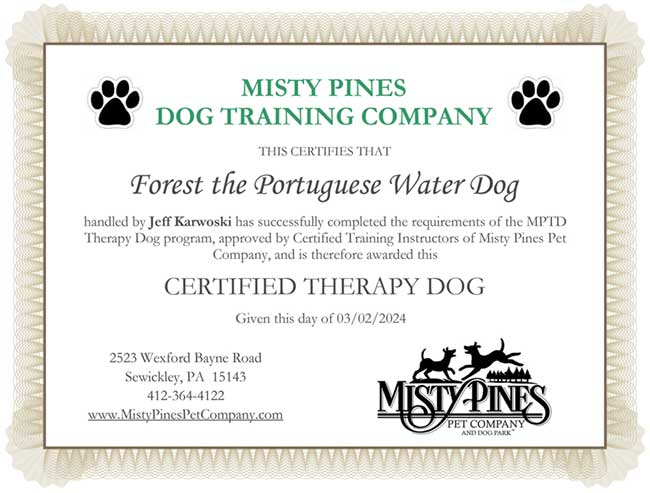 Misty Pines Certificate