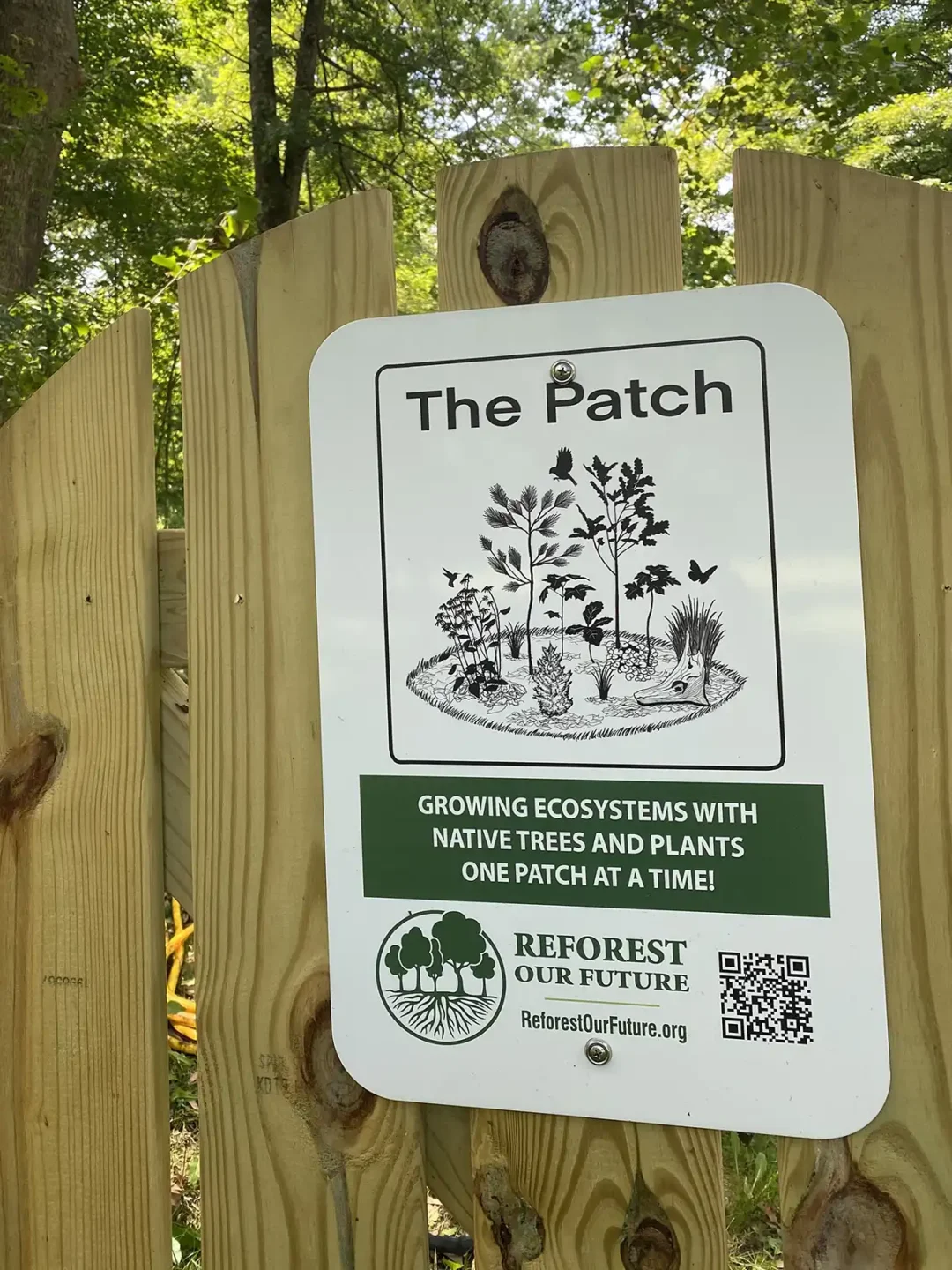 The Patch - Reforest Our Future