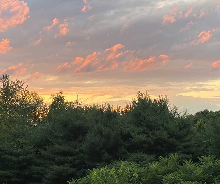 Clouds with sunset and trees in foreground