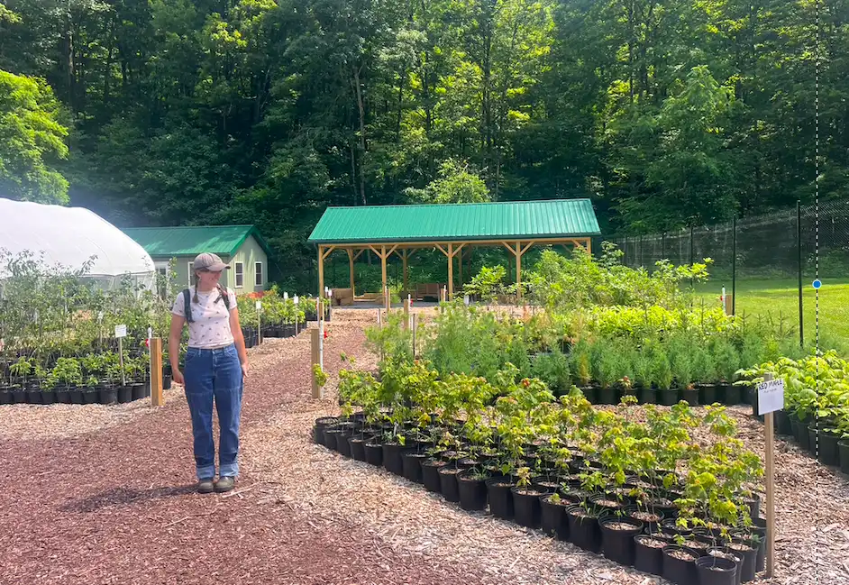 Lady walking at plant sale