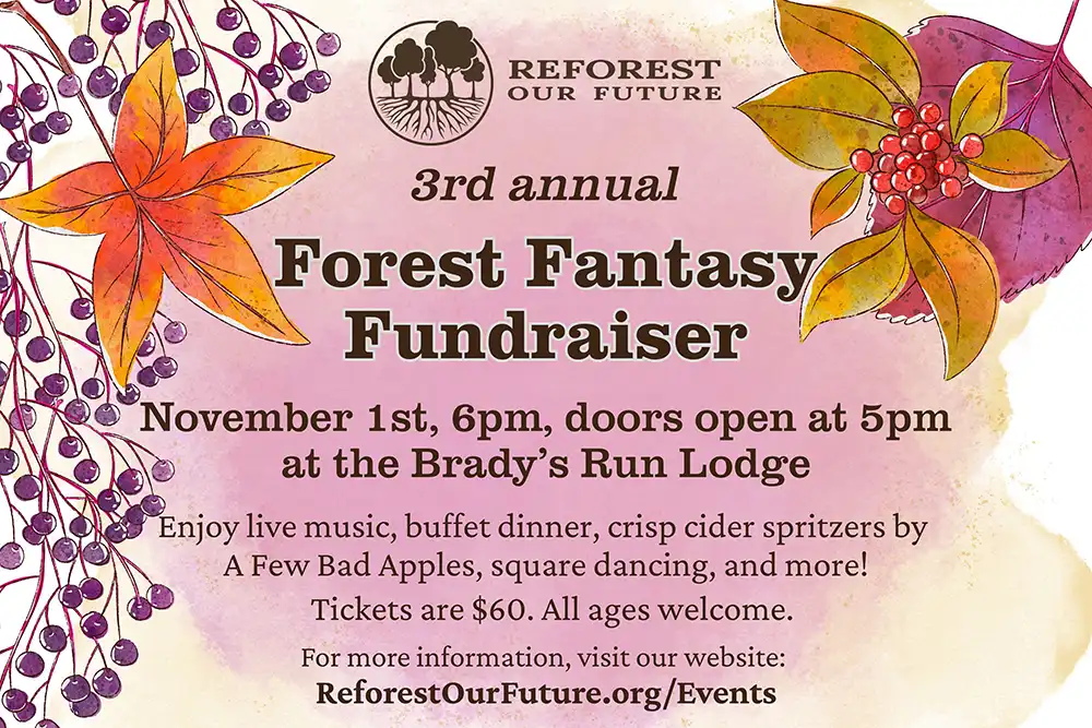 Forest Fantasy Fundraiser image