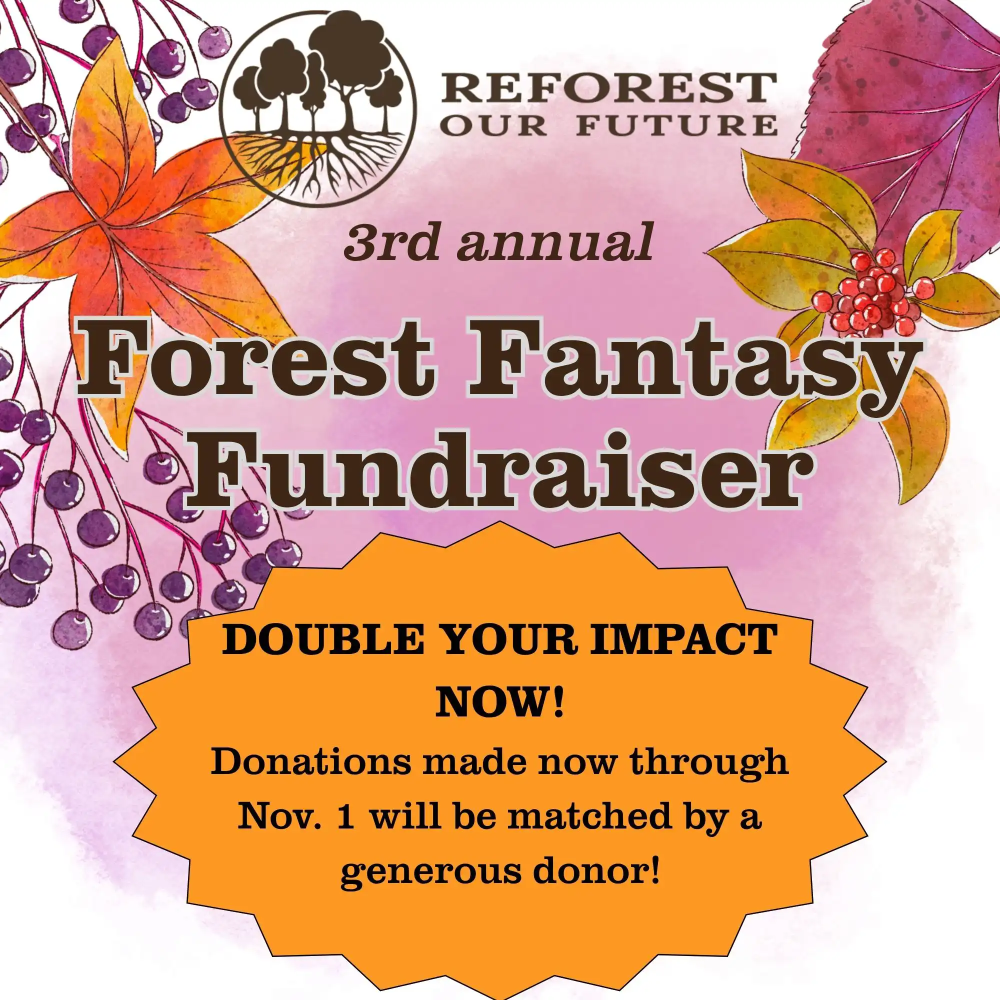 Forest Fundraiser Sponsor image