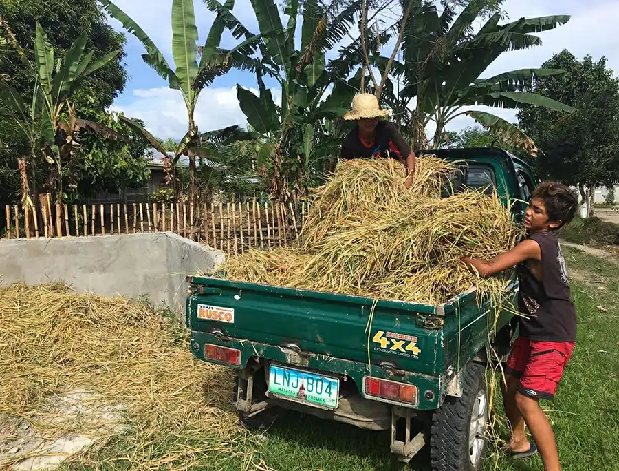 Two men pulling hay from truck