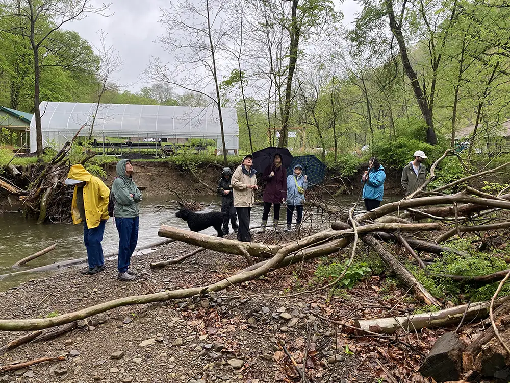 Reforest Our Future, tree fell at nursery