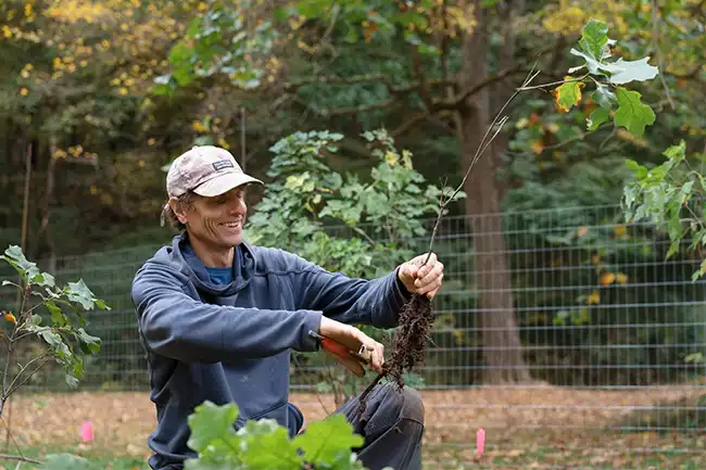 Jeff planting a tree