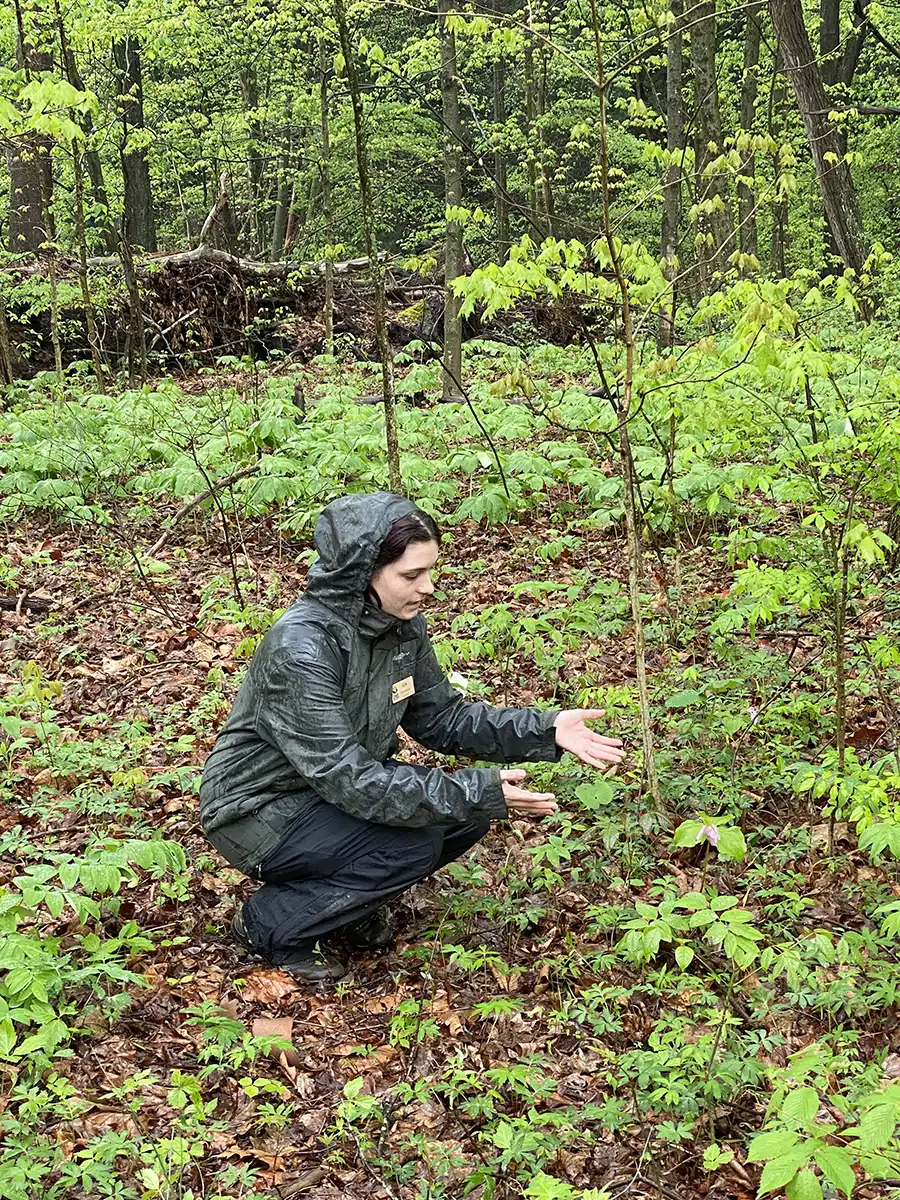 Woman pointing out trees