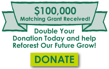 Matching Grant image
