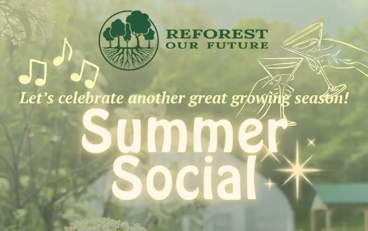 Summer Social