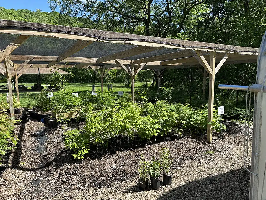 Plant sale
