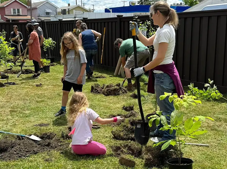 people planting trees at nursery