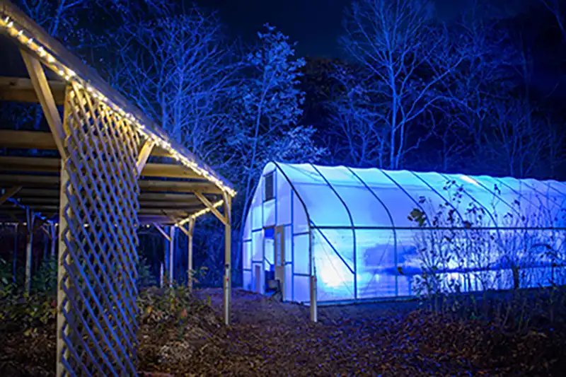 Reforest Our Future, greenhouse
